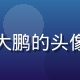 用户创作者大鹏的头像，成熟男性